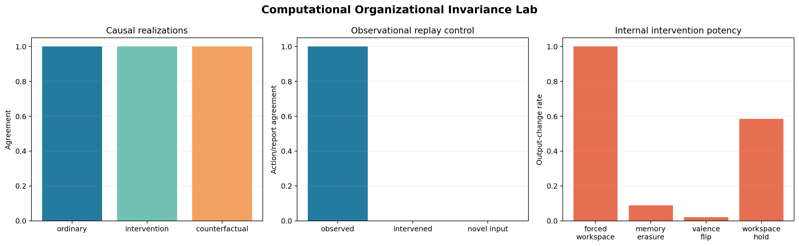 Causal organization across three software encodings compared with observational replay.